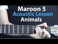 Animals - Maroon 5: Acoustic Guitar Lesson