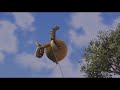 frog gets blown up and becomes balloon *shrek* balloon scene