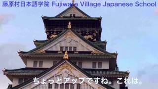 Japanese Osaka castle(大阪城）観光 sightseeing 心斎橋、難波 in Japanese, English