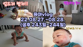 [vlog] 육아브이로그| 8개월아기| 8개월 진입하자마자 \