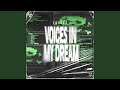 VOICES IN MY DREAM