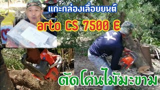 แกะกล่องเลื่อยยนต์ arto CS 7500E ตัดโค่น ไม้มะขาม