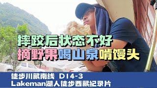 徒步西藏D14-3 茶马古道摔跤后续路边无名野果好像草莓味道还可以