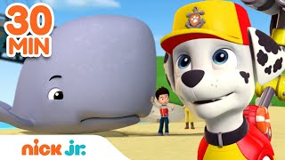 PAW Patrol Beach Animal Rescues & Adventures! | 30 Minute Compilation | Nick Jr.