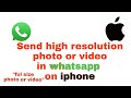 How to send whatsapp document in iphone | iOS |photo or video|