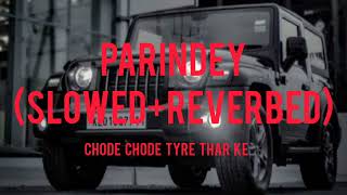 PARINDEY (slowed+reverbed) |CHODE CHODE TYRE THAR KE I SUMIT GOSWAMI I SHANKY GOSWAMI