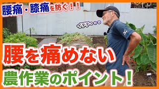 Farming Tips for Back Pain Prevention from a Japanese Farmer !