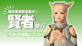 【FF14/Gaia】犠牲者募集中！はじめての賢者修行🥳そして今週も天道集まっていない！【Twitch同時配信中】