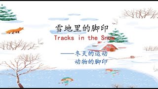 学中文/冬天/双语绘本/雪地里的脚印