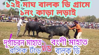 ১২ই মাঘ বালক ডি গ্রামে  ১নং বিরাট কাড়া লড়াই  এই বছরের সেরা লড়াই