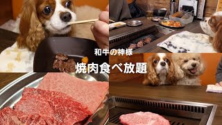 【愛犬とお食事】和牛の神様で焼肉食べ放題+￥100で飲み放題てなんですの～