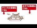 【2020年1月26日2回目】鴨川シーワールド　シャチパフォーマンス　会場全体を固定カメラで撮影