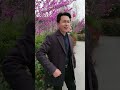 风吹桃林满树花，喜鹊枝头叫喳喳！ 大力王 帅哥 大叔 帅哥 大叔 秀才 chinese chineselife countrylife xiucai