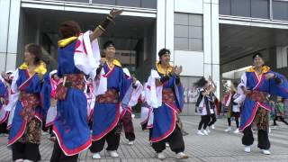 ２０１３　ドリーム夜さ来い祭り（朝霞鳴子一族め組）ーオープニング