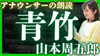 【山本周五郎朗読】「青竹」女性アナの時代小説朗読【現役TBS番組キャスター】山本周五郎朗読読み切り・朗読小説名作・朗読小説短編