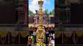 #Vaikunta #Ekadashi #2025 #வைகுண்ட #ஏகாதசி #சொர்க்கவாசல் #sorgavaasal #srivenkateswara #shorts