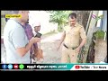 കൊടുങ്ങല്ലൂരില്‍ റോഡരികില്‍ നിന്നും കഞ്ചാവ് ചെടി കണ്ടെത്തി