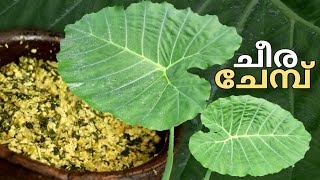 ചീര ചേമ്പ് | സുന്ദരി ചേമ്പ് | ചീര ചേമ്പ് തോരൻ #leafyvegetables #cooking #keraladish