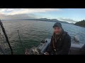 screaming drag 97 lb alaskan halibut halibut fishing petersburg alaska august 2020