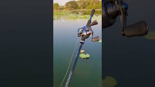 Daiwa TATULA XT VS Shimano Slx DC xt 71XG