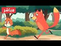 قناة أسرتنا مباشر | أغاني جديدة | 🔴 Live