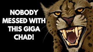 MEET THE COLOSSAL CHEETAH ACINONYX PLEISTOCAENICUS!!