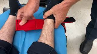 Posey Restraint System SFD