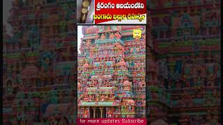 ఆ ఆలయంలోని బంగారు బల్లుల రహస్యం | Srirangam Temple Golden Lizards Story | @AyushmanBhavaCreations