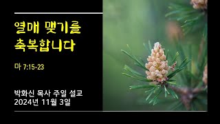 열매 맺기를 축복합니다 / 마태복음 7장 15-23절 / 박화신 목사 주일 설교