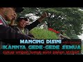 Mancing disini ikannya gede - gede semua II Cukup mpan lumut - auto panen strike !!