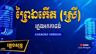 ព្រៃឯកើត ស្រី ភ្លេងសុទ្ធ | Prey E Kert - [By Kula] #KaraokeVersion