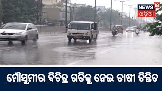 ମୌସୁମୀର ବିଚିତ୍ର ଗତିକୁ ନେଇ ଚାଷୀ ଚିନ୍ତିତ | News18 Odia