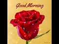 good morning sunday images best good morning flower image