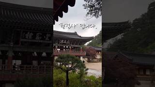 도망칠 곳이 필요할 땐, 이곳으로” ⛩️🍃도심을 떠나 마음을 쉬고 싶다면, 강원도 평창 오대산 월정사를 추천합니다. 🌿