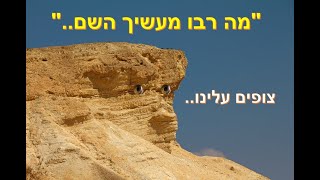 מדהים !!! מה רבו מעשיך השם  צופים עלינו מההרים