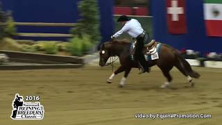 Gunners Special Glo ridden by Arno Honstetter  - 2016 NRBC (Open Prelims)