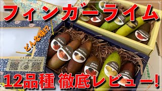 【必見!!】フィンガーライム【１２品種】の徹底レビュー！育てる前に果実の参考にどうぞ！！