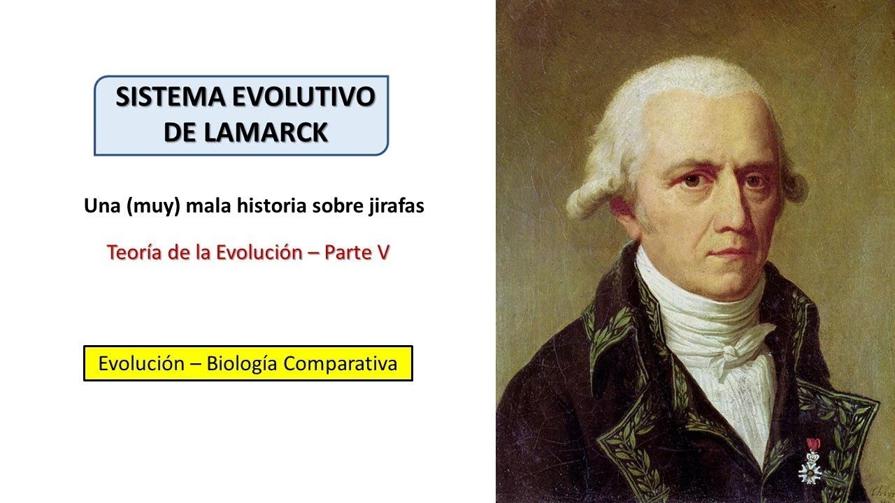 Teoría De La Evolución De Lamarck | BiologiaXXI - YouTube