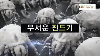 [엘슈퍼비젼] 진드기 박멸 닥터 클리너 영상