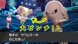 【負けられない】「再生数1位のサワムラー」と、まさかの再会！【ポケモン剣盾】