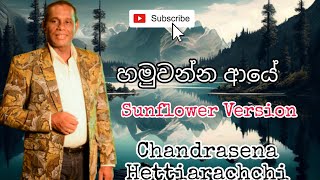 Hamuwanna Aye -  Chandrasena Hettiarachchi  ( Sunflower )