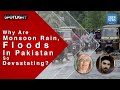 Why are monsoon rains, floods in Pakistan so devastating? | Spotlight | Dawn News English