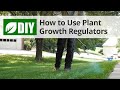 How to Use Plant Growth Regulators | DoMyOwn.com