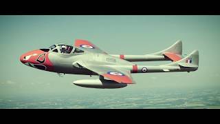 Mig 15 T33 Harvard Vampire L29 flying together!