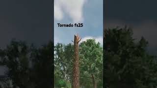 what did the tornado do#fs22 #fs25 #tornado #hurricane #farming #farmingsimulator25