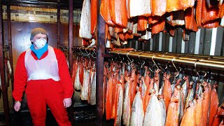Aquaculture of salmon - Farming and harvesting of salmon - Smoked Salmon Processing