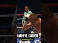 canelo deadly power v01