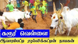 கரூர் வெள்ளை வெறித்தனமான ஆட்டம்.. ஆவாரம்பட்டி ஜல்லிக்கட்டு / aavarampatti jallikattu