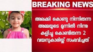 അമ്മയുടെ കണ്മുന്നിൽ കളിച്ചു കൊണ്ടിരുന്ന കുഞ്ഞ് തൊട്ടടുത്ത നിമിഷം സംഭവിച്ചത്