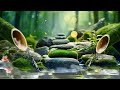 Beautiful Relaxing Music - Calming Piano Music for Meditation, Stress Relief, Healing Sleep Music